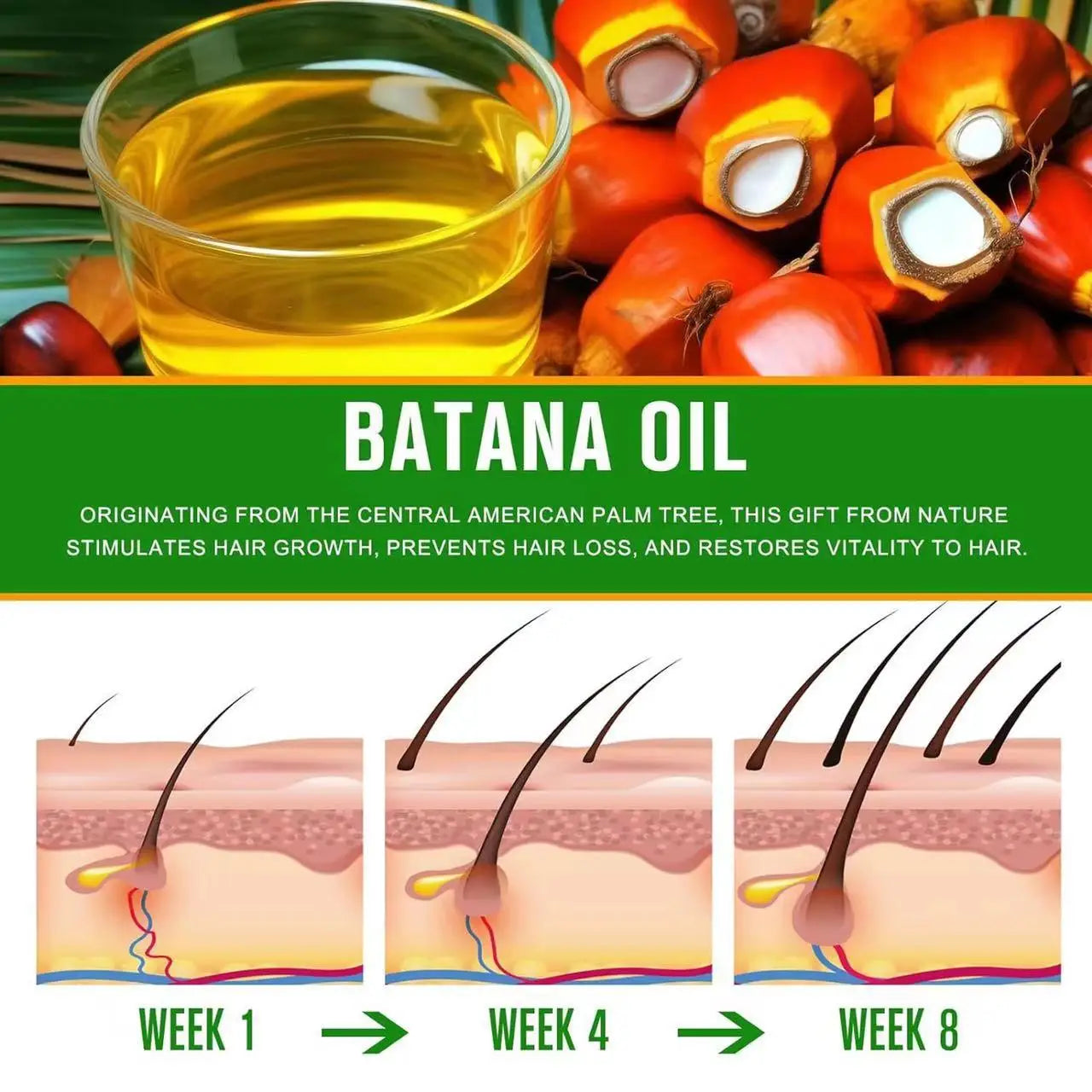 Batana Oil Hair Growth Conditioner
